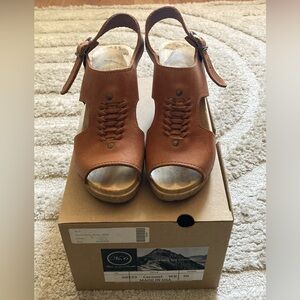 No. 6 wooden wedges
